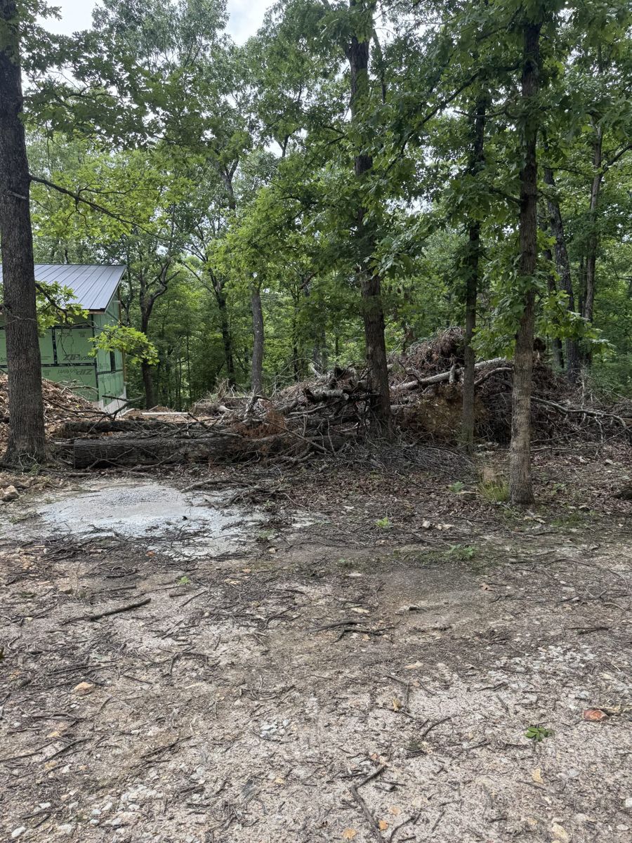 Wooded home site with downed trees and brush piles during clearing